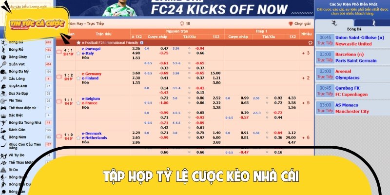 Trên thị trường đang có những loại kèo nào thị hành? 